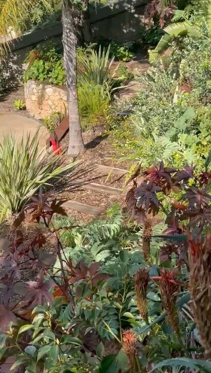 Jardin de la Villa Côté Mer.

@hvvimmo

@atelier_allione

#southoffrance #garden #tropicalgarden #paysagiste #monaco #gardendisign #frenchriviera #luxuryhomes #luxurygarden #mediterraneangarden #frenchgarden #terrassebois #conceptionpaysagere #concepteurpaysagiste