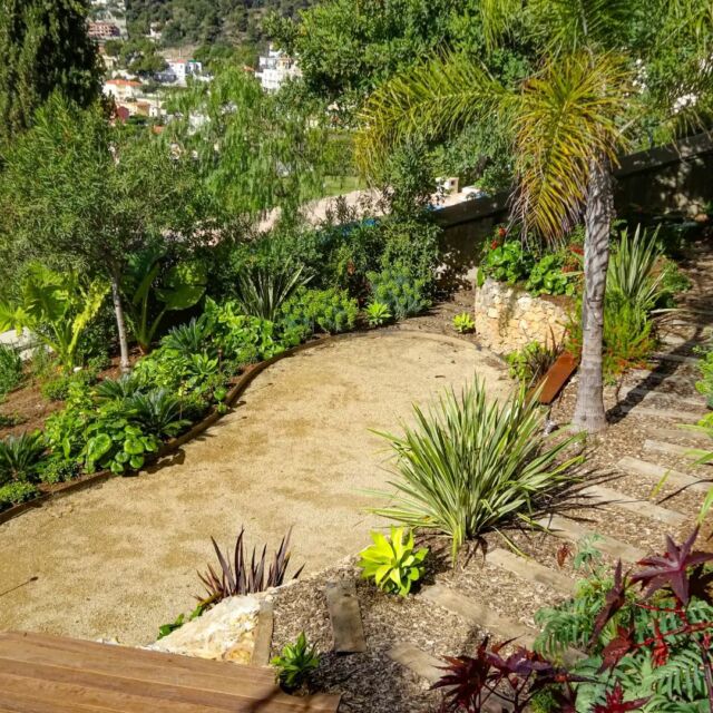 Jardin de la Villa Côté Mer.

@hvvimmo 

@atelier_allione 

#garden #tropicalgarden #frenchriviera #paysagiste #jardintropical #gardendesign #gardenideas #ideejardin #conceptiondejardin #roquebrunecapmartin #regionsud #seaview