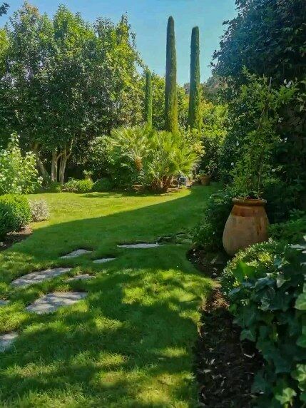 Entretien d'un jardin à Valbonne.

#valbonne #architecture #paysage #luxurygarden #frenchriviera  #paysagiste #garden