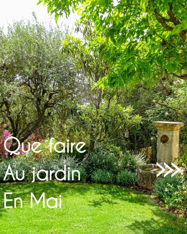 Que faire au jardin en Mai?

#conseiljardin #jardinmediterraneen #ideedeco #potager